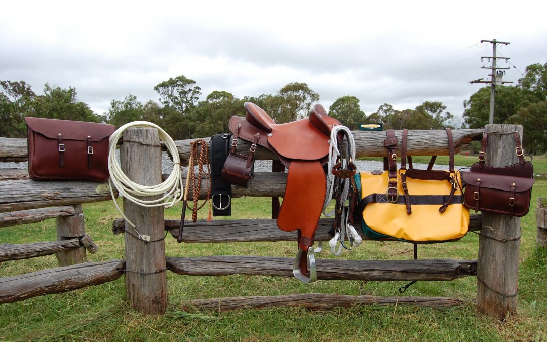 Kent Saddlery – A unique business to visit on your – Road Trip