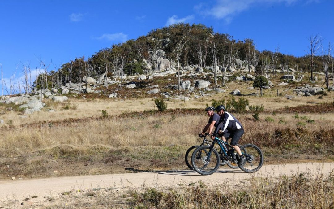 Tenterfield – Gravel & Granite Event